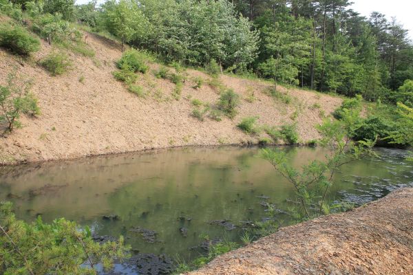 Cost of Pond Erosion Repair in South Zanesville
