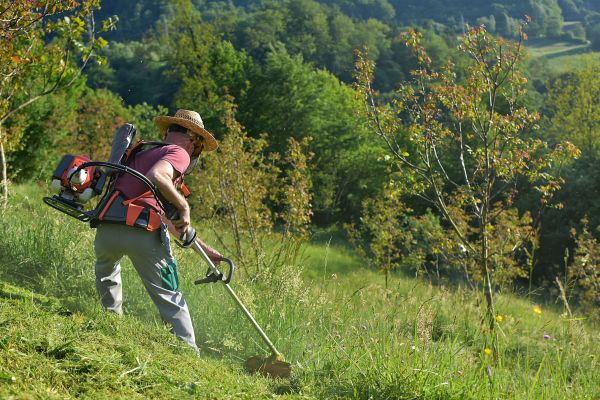 Cost of Slope Trimming in South Zanesville